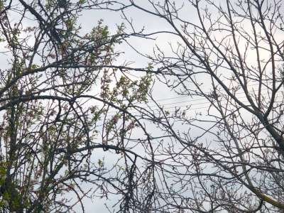 Eladó nyaraló - Balatonakali / 16. kép