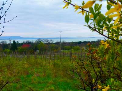 Eladó nyaraló - Balatonakali / 36. kép