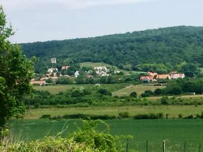 Eladó mezőgazdasági terület - Dörgicse / 2. kép