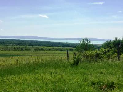 Eladó mezőgazdasági terület - Dörgicse / 1. kép