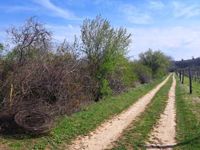 Eladó mezőgazdasági terület - Balatonudvari / 3. kép