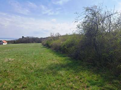 Eladó mezőgazdasági terület - Balatonudvari / 7. kép