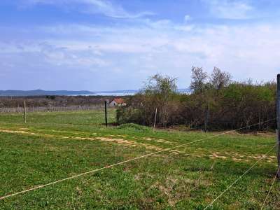 Eladó mezőgazdasági terület - Balatonudvari / 1. kép