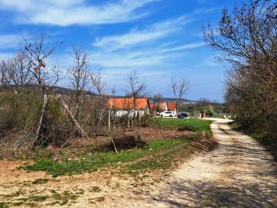Eladó mezőgazdasági terület - Balatonudvari / 10. kép