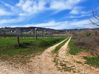 Eladó mezőgazdasági terület - Balatonudvari / 11. kép