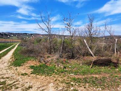 Eladó mezőgazdasági terület - Balatonudvari / 13. kép
