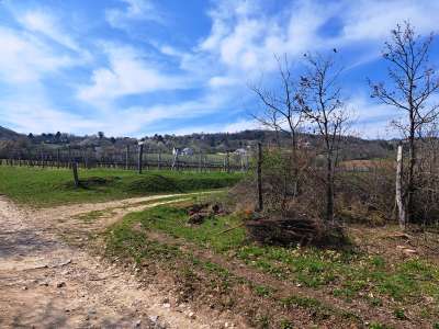 Eladó mezőgazdasági terület - Balatonudvari / 14. kép
