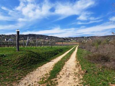 Eladó mezőgazdasági terület - Balatonudvari / 5. kép