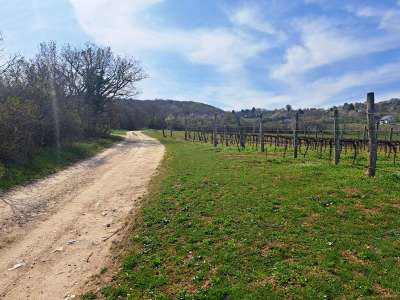 Eladó mezőgazdasági terület - Balatonudvari / 16. kép