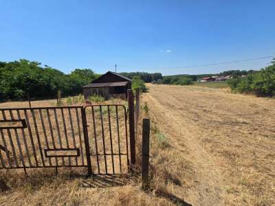 Eladó fejlesztési terület - Kóka / 2. kép