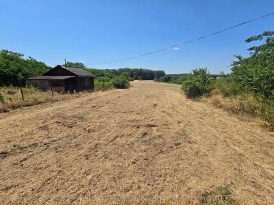 Eladó fejlesztési terület - Kóka / 1. kép