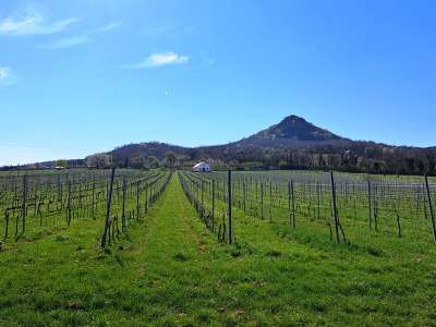 Eladó családi ház - Káptalantóti / 11. kép