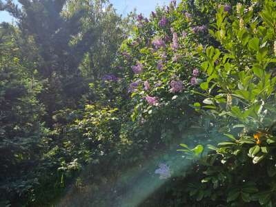 Eladó családi ház - Csopak / 28. kép