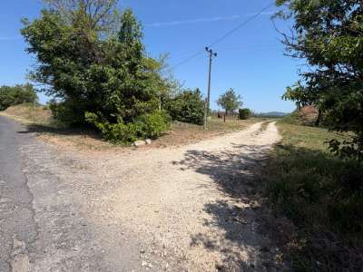 Eladó mezőgazdasági terület - Aszófő / 13. kép