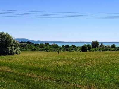 Eladó mezőgazdasági terület - Balatonakali / 8. kép