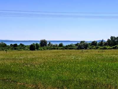 Eladó mezőgazdasági terület - Balatonakali / 1. kép