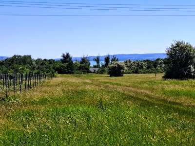 Eladó mezőgazdasági terület - Balatonakali / 9. kép