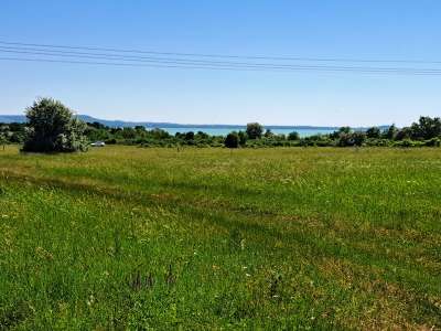 Eladó mezőgazdasági terület - Balatonakali / 12. kép