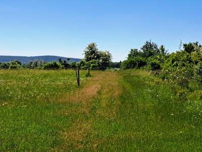 Eladó mezőgazdasági terület - Balatonakali / 4. kép