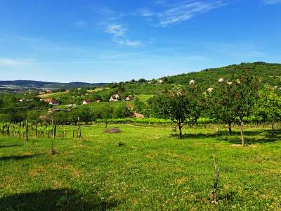 Eladó gazdasági épület - Pécsely / 4. kép