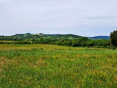 Eladó mezőgazdasági terület - Balatonrendes / 6. kép