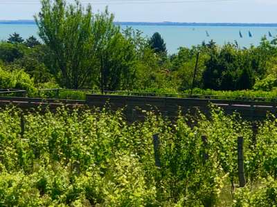 Eladó családi ház - Balatonfüred (Balatonarács) / 28. kép