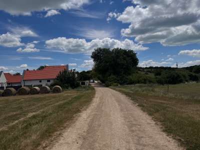 Eladó szántó - Balatonszőlős / 12. kép