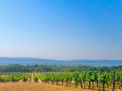 Eladó gazdasági épület - Balatonakali (kis leshegy) / 2. kép