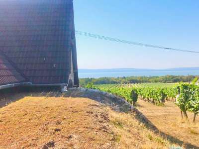 Eladó gazdasági épület - Balatonakali (kis leshegy) / 3. kép