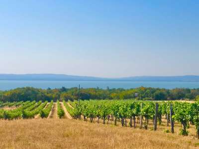 Eladó gazdasági épület - Balatonakali (kis leshegy) / 21. kép