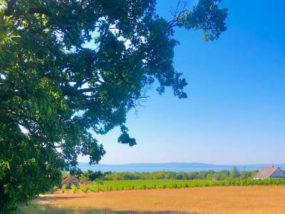 Eladó mezőgazdasági terület - Balatonakali (kis leshegy) / 1. kép