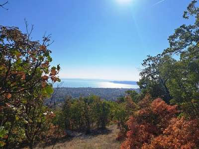 Eladó mezőgazdasági terület - Balatonfüred / 9. kép