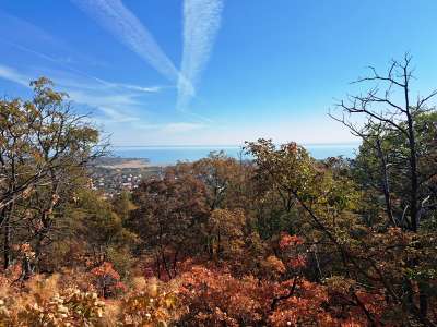 Eladó mezőgazdasági terület - Balatonfüred / 11. kép