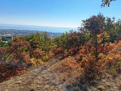 Eladó mezőgazdasági terület - Balatonfüred / 14. kép