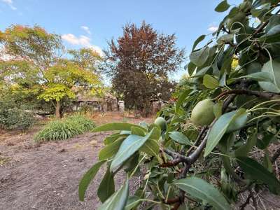 Eladó családi ház - Poroszló / 19. kép