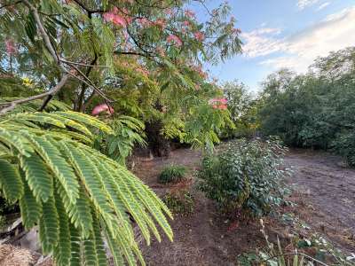 Eladó családi ház - Poroszló / 21. kép