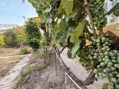 Eladó családi ház - Poroszló / 5. kép