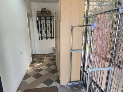 Eladó családi ház - Törökszentmiklós (Városközpont) / 14. kép