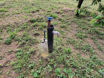 Eladó kert, gyümölcsös - Törökszentmiklós / 7. kép