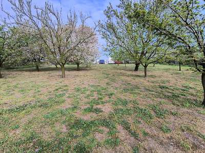 Eladó kert, gyümölcsös - Törökszentmiklós / 8. kép