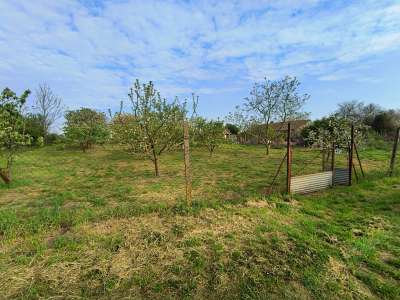 Eladó kert, gyümölcsös - Törökszentmiklós / 1. kép