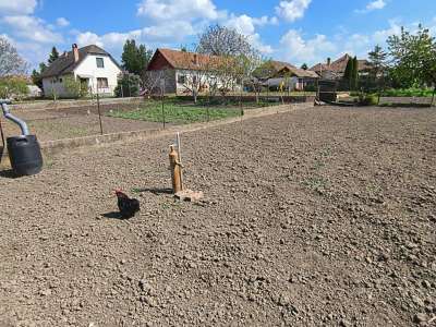 Eladó családi ház - Fegyvernek / 27. kép