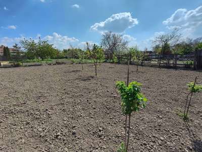 Eladó családi ház - Fegyvernek / 30. kép