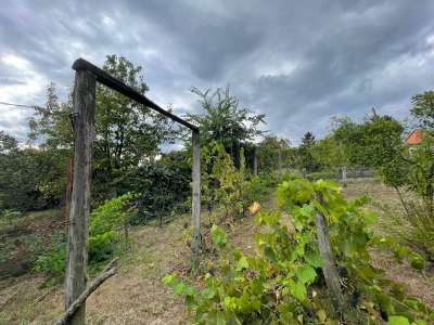 Eladó családi ház - Erdőkertes (Topolyos) / 4. kép