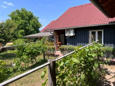Eladó családi ház - Szada (Malomvég) / 29. kép