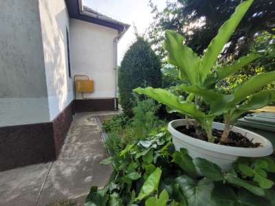 Eladó családi ház - Budapest XVI. kerület / 8. kép