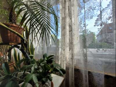 Eladó családi ház - Budapest XVI. kerület / 21. kép