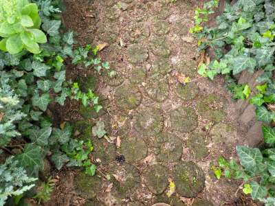 Eladó családi ház - Kerepes / 29. kép