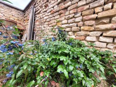 Eladó családi ház - Kerepes / 22. kép