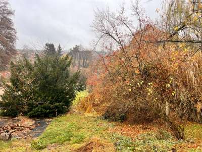 Eladó építési telek - Domony / 1. kép